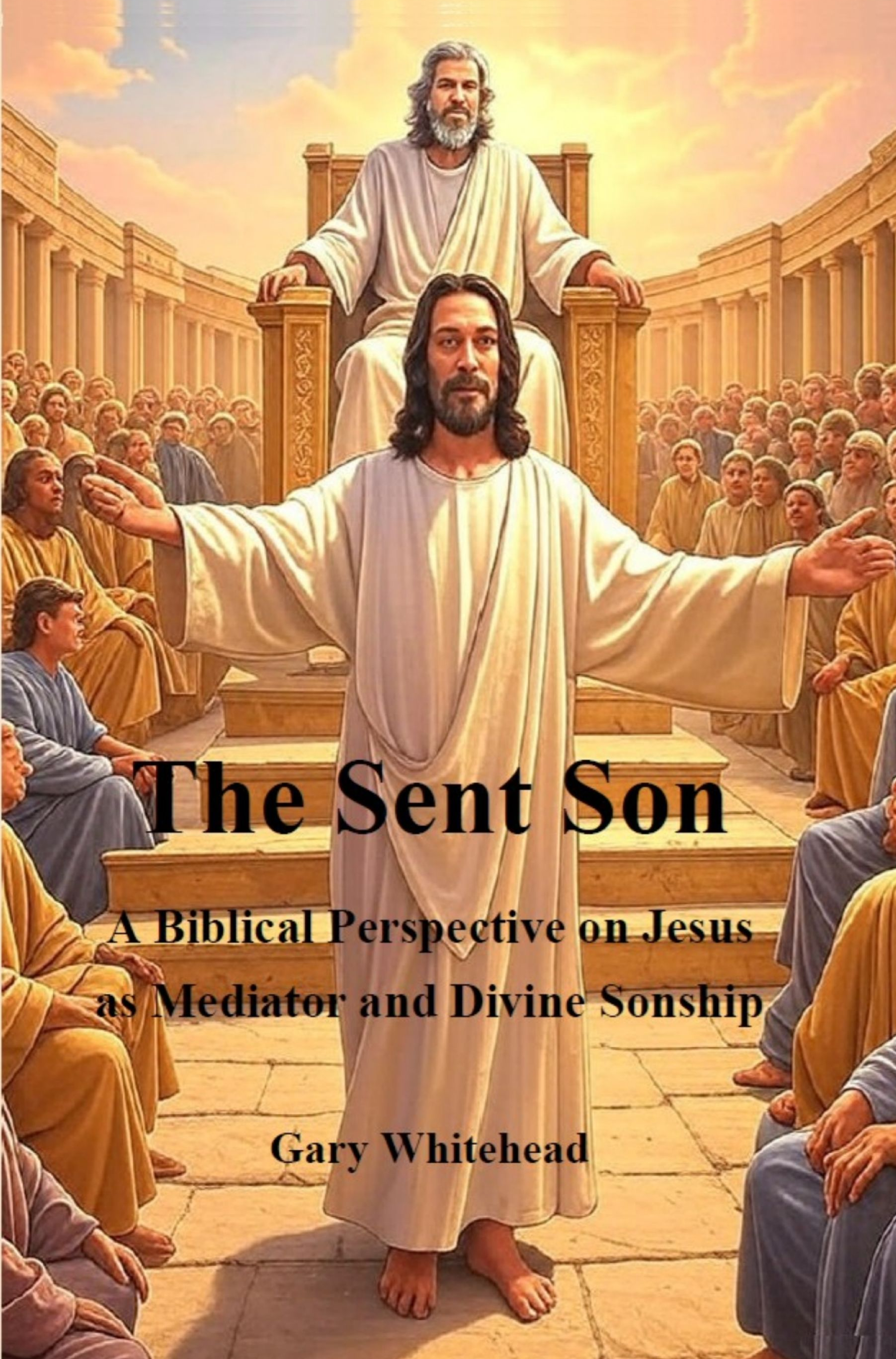 The Sent Son book cover